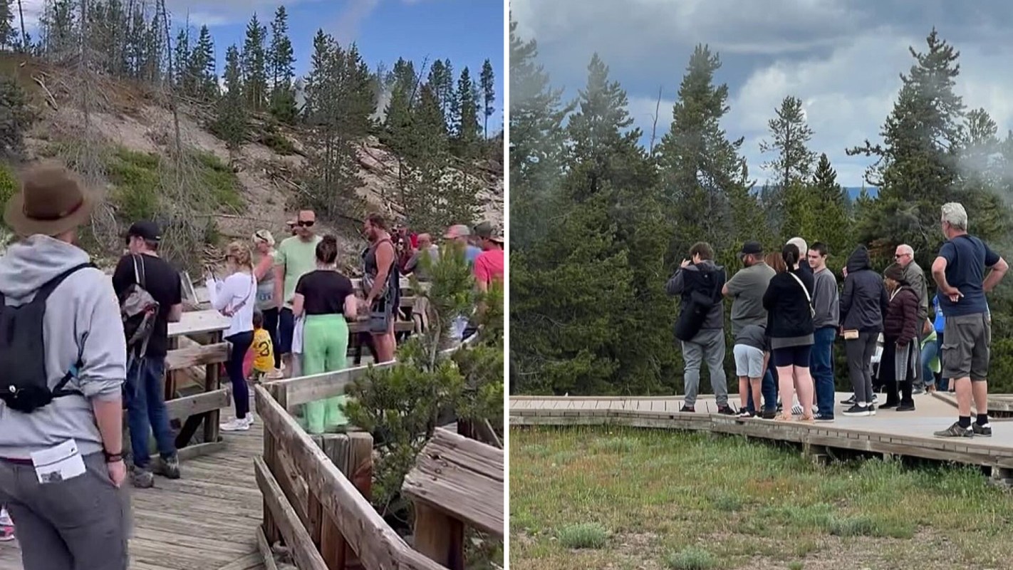 "Do people think Yellowstone is a zoo?"