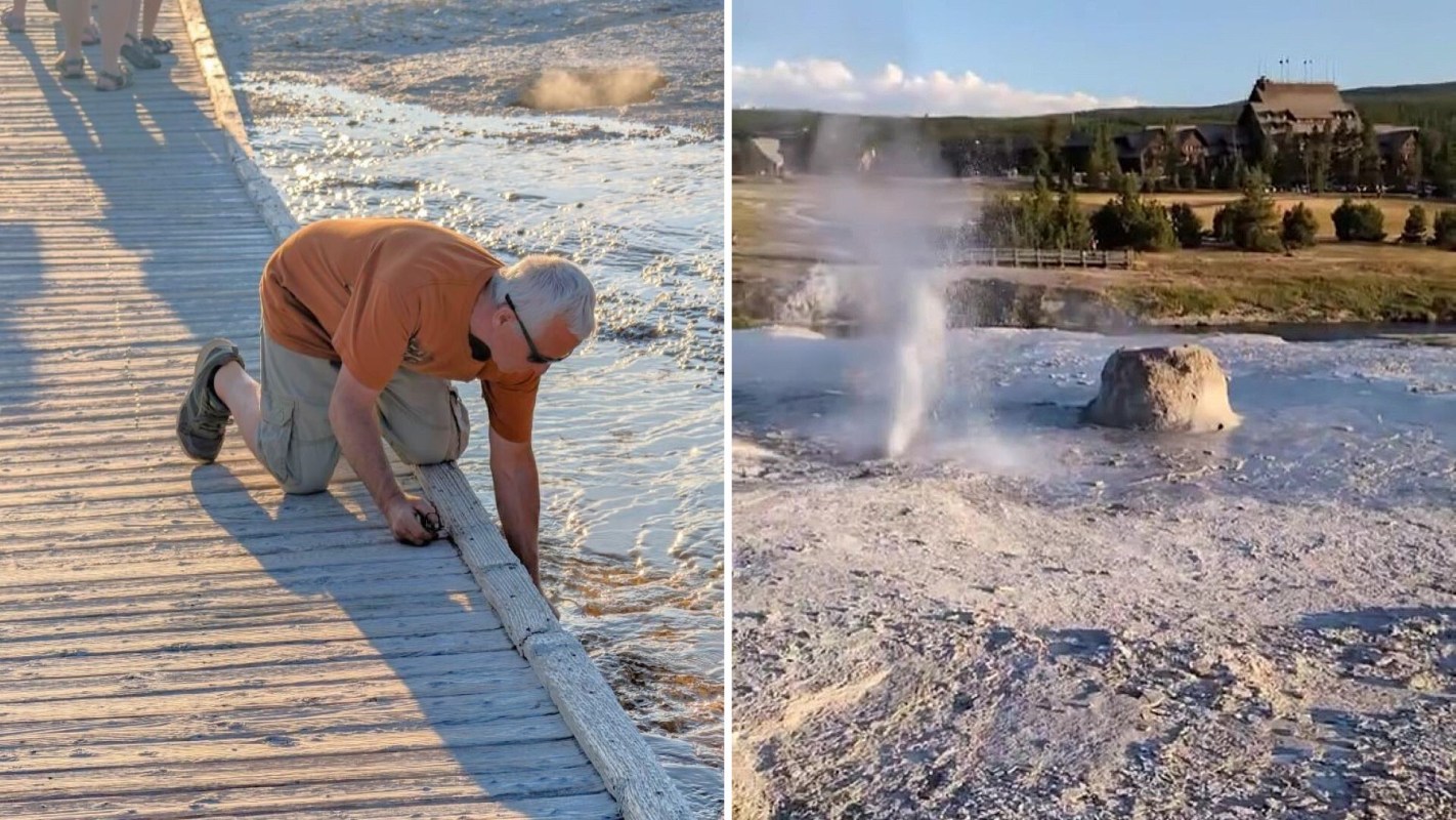 "The brain-eating amoeba would starve on that guy."