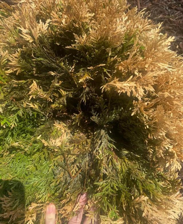 "What's going on here?"