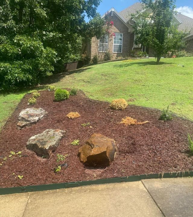 "What's going on here?"