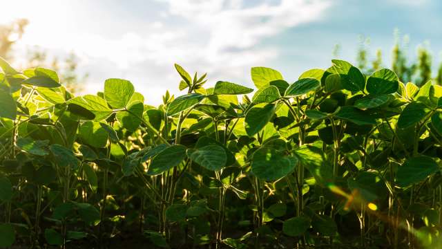 The authors noted that water-stressed regions could especially benefit.