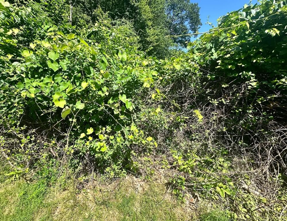 "It looks like a big job."