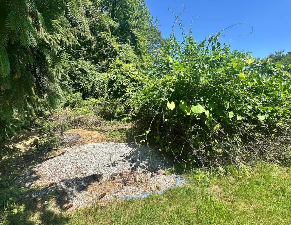 "It looks like a big job."