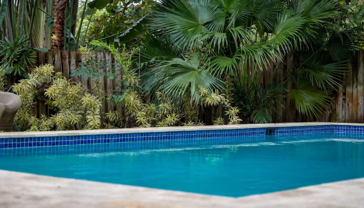 The alligator, which seemed like a juvenile, was not happy to be removed.