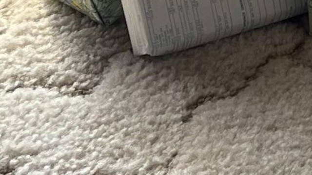 "My dad ... used to do this when I was a kid."