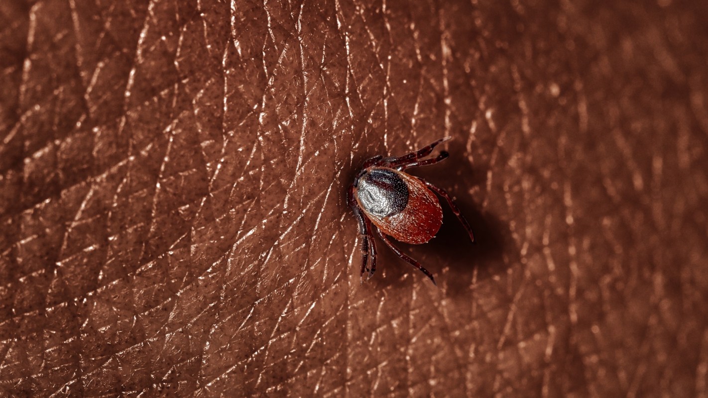 Many parts of the U.S. are seeing an increase in tick-borne diseases as they begin to experience warmer weather.
