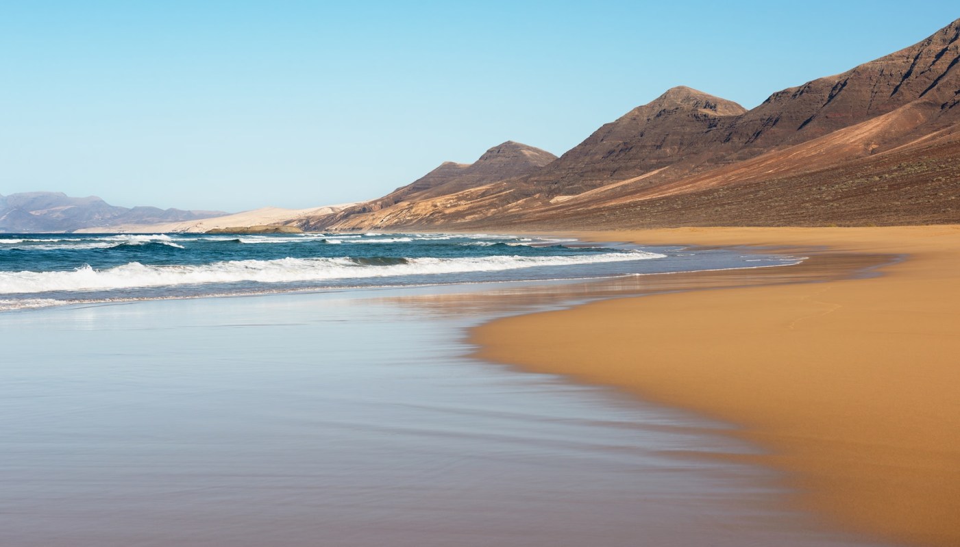 Angel sharks are apex predators that regulate other fish populations.