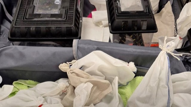 "Causes great suffering."