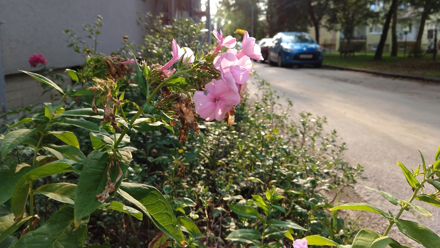 "Of course there is always someone selfish enough to ruin it for everyone."