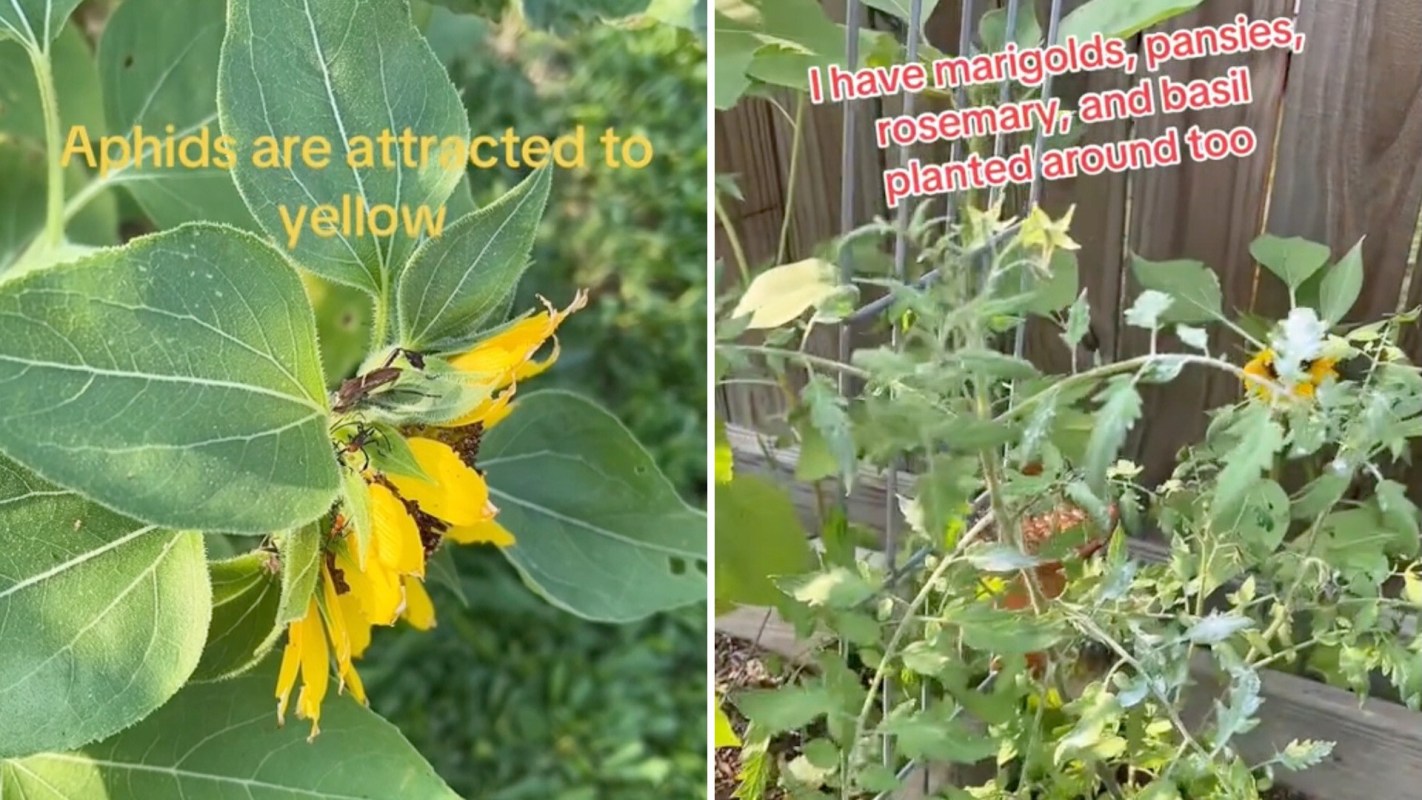 "I'm definitely going to have to do this."