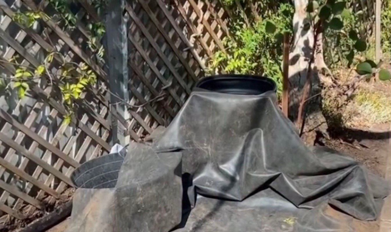 "They told me to just put a lawn in."