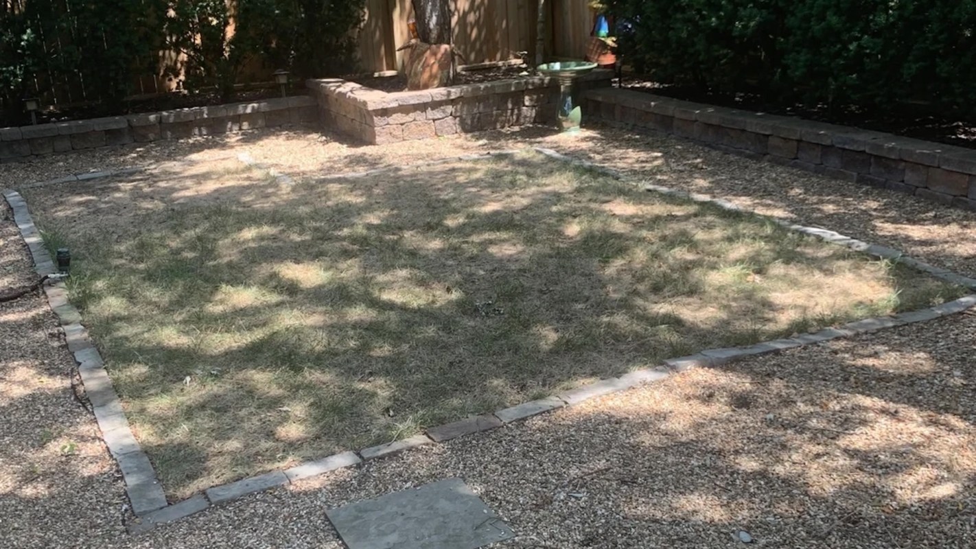 "Have had magnificent results."