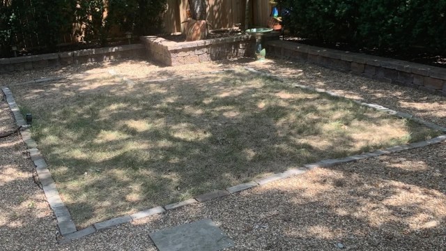 "Have had magnificent results."