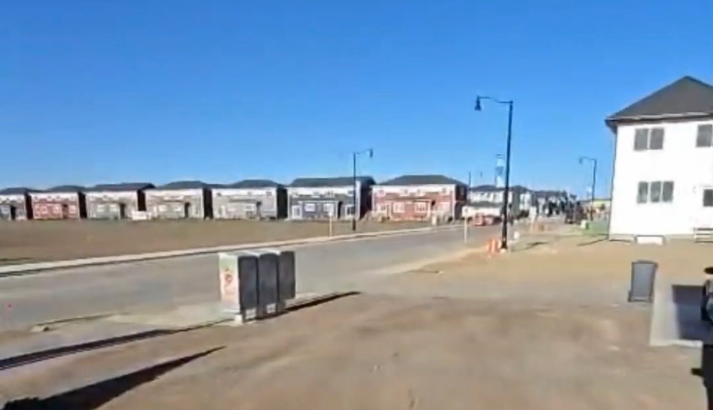 "Landscaping from hell."