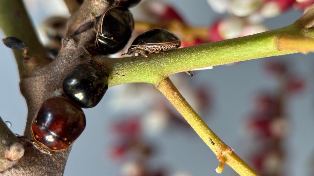 It could spell trouble.