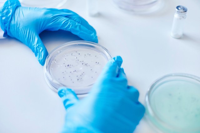 It could "pave the way toward applications in structural materials."