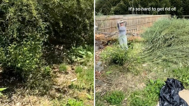 "This was quite a task."