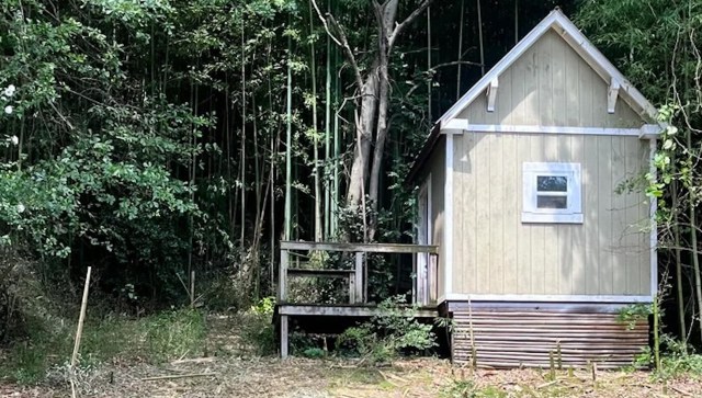 "You just need to get ahead of it."