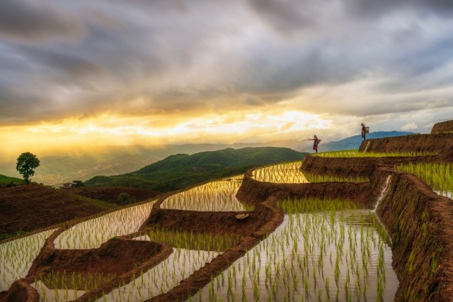 The benefits have a ripple effect.