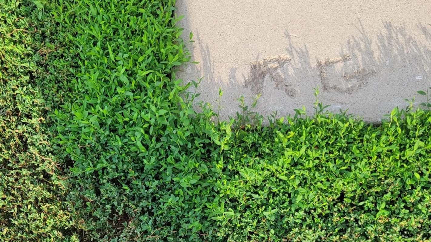 Others offered solutions.