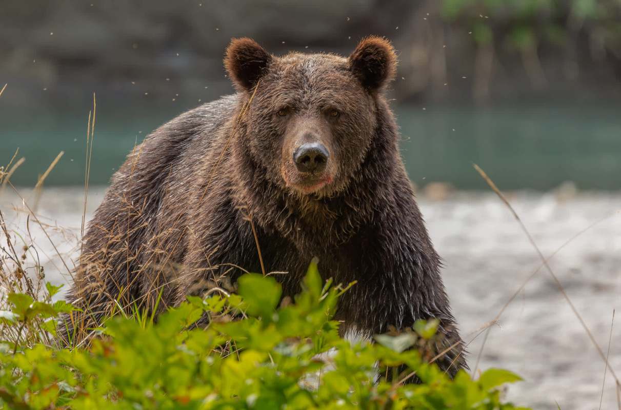 "Please take basic countermeasures and exercise the highest level of caution."