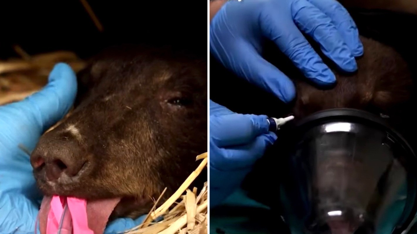 "This is never a decision we take lightly."