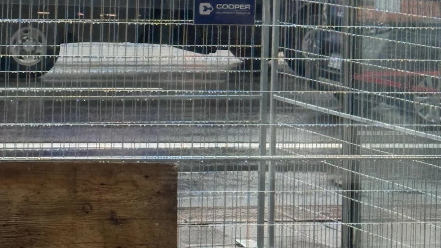 "The most annoying thing ever."