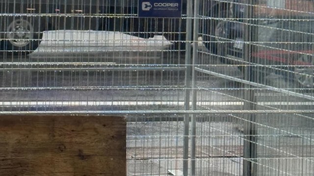 "The most annoying thing ever."