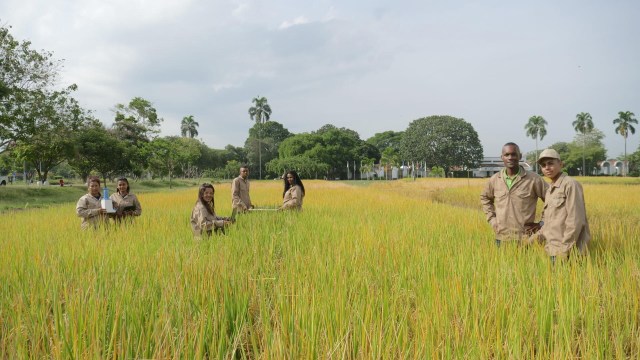 "Work on biofortification needs to continue."