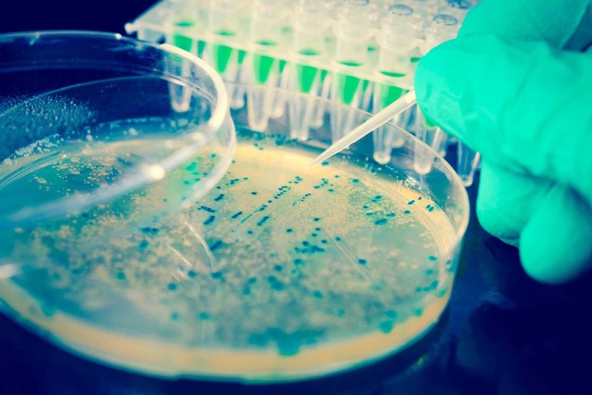 Even small amounts of certain elements can be dangerous to human health.