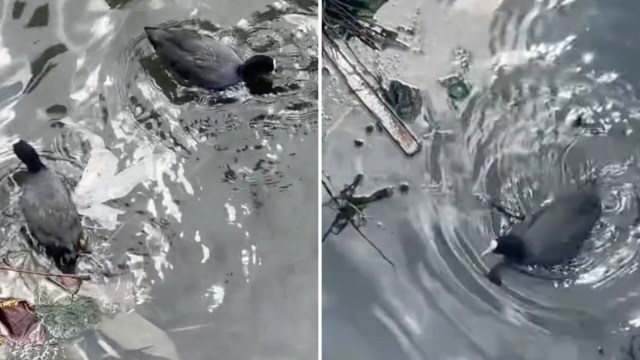 "They’re doing their best."