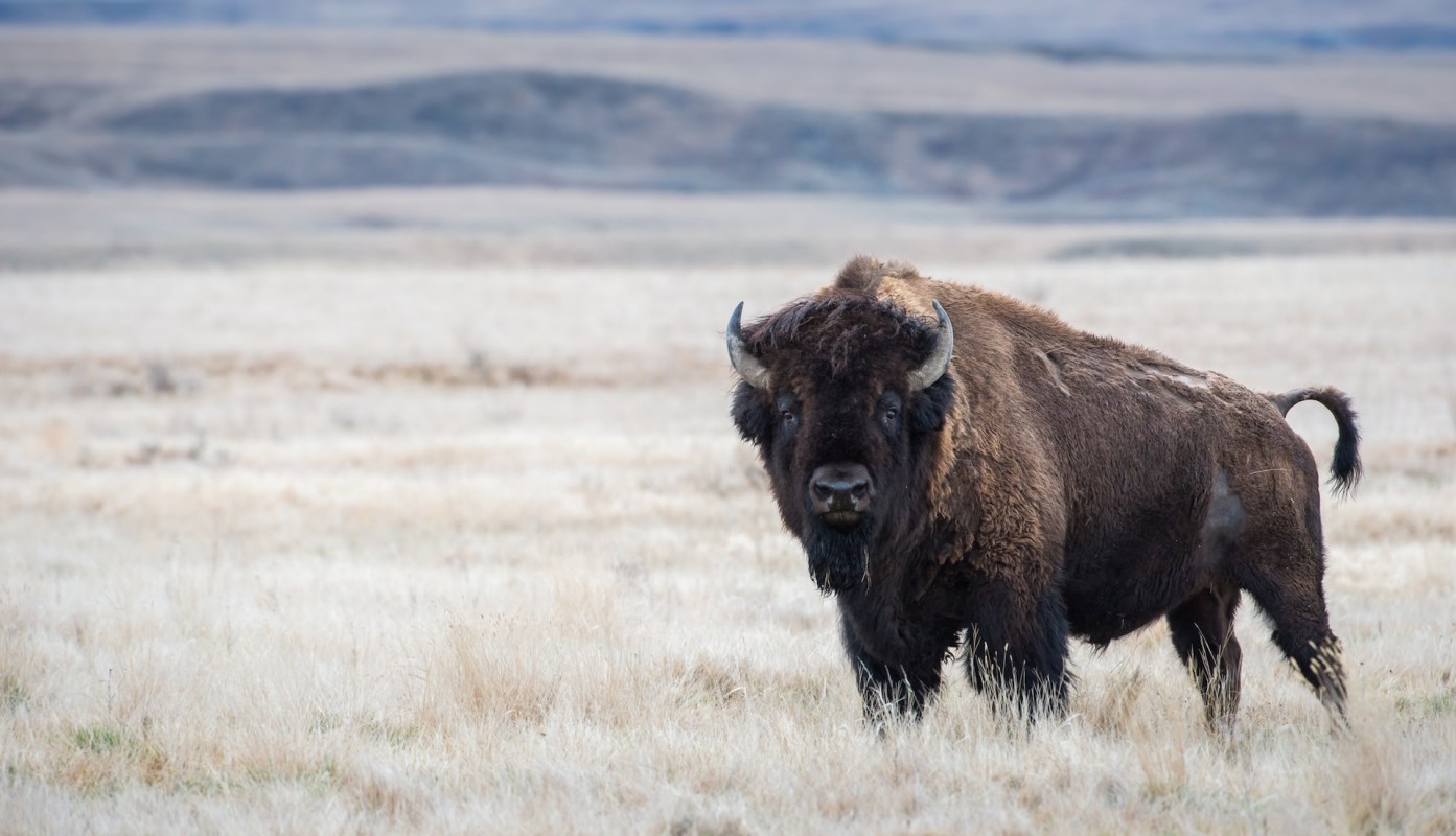 “Biggest pet peeve!”