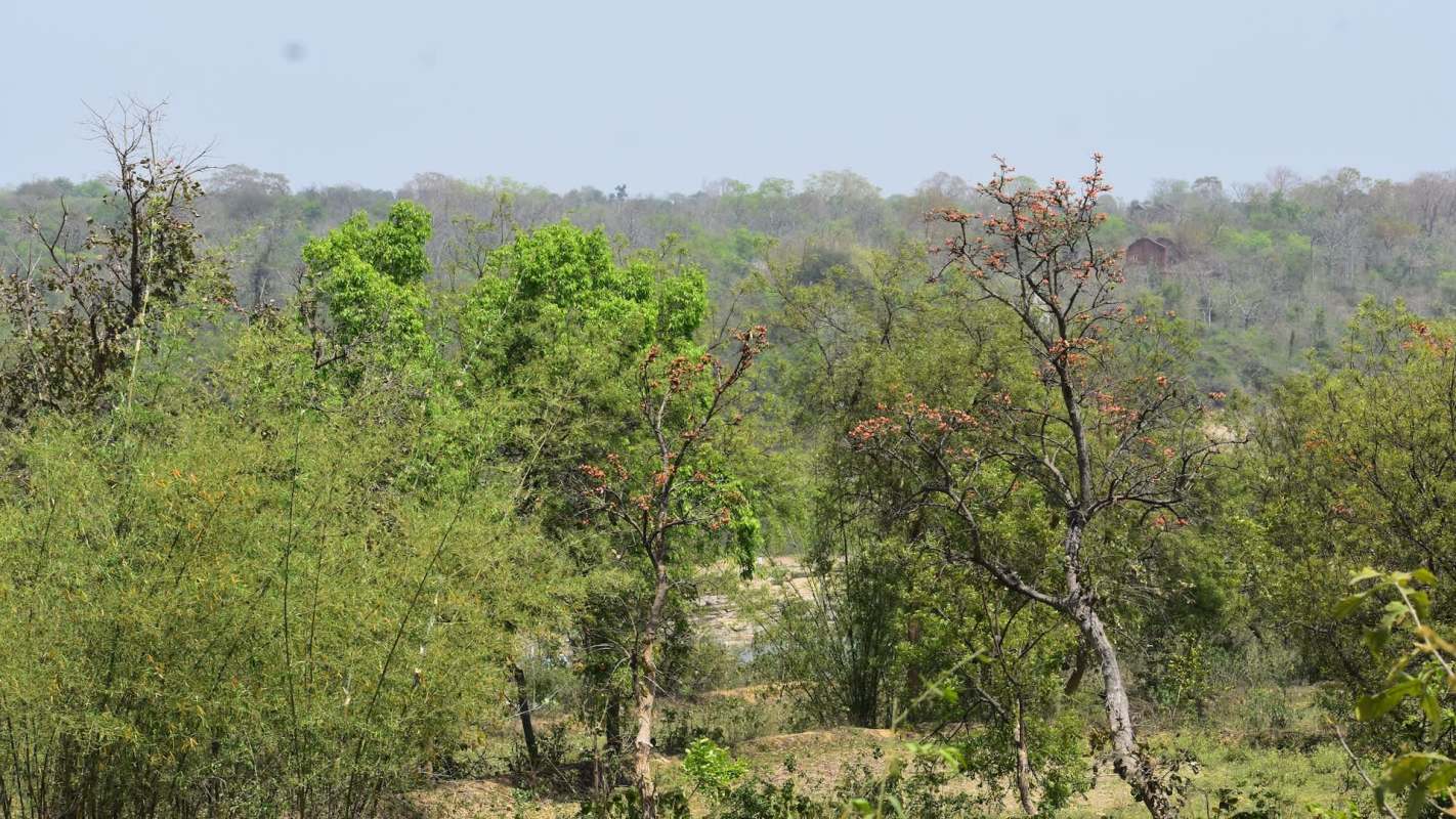 "Almost too much to ask for."