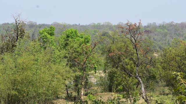 "Almost too much to ask for."