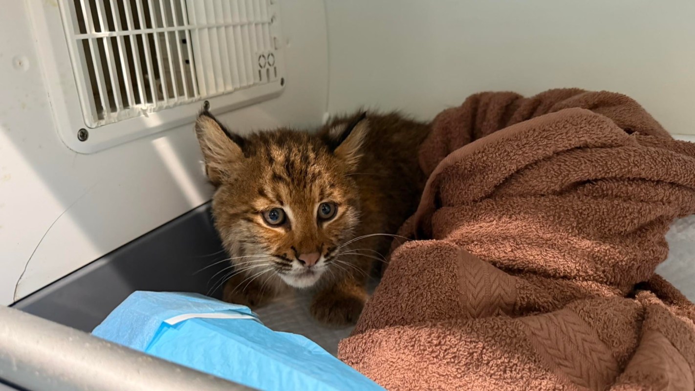 "We love their sass … from a safe distance."