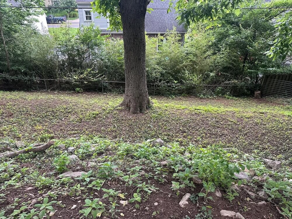 "It's the only way to be sure."