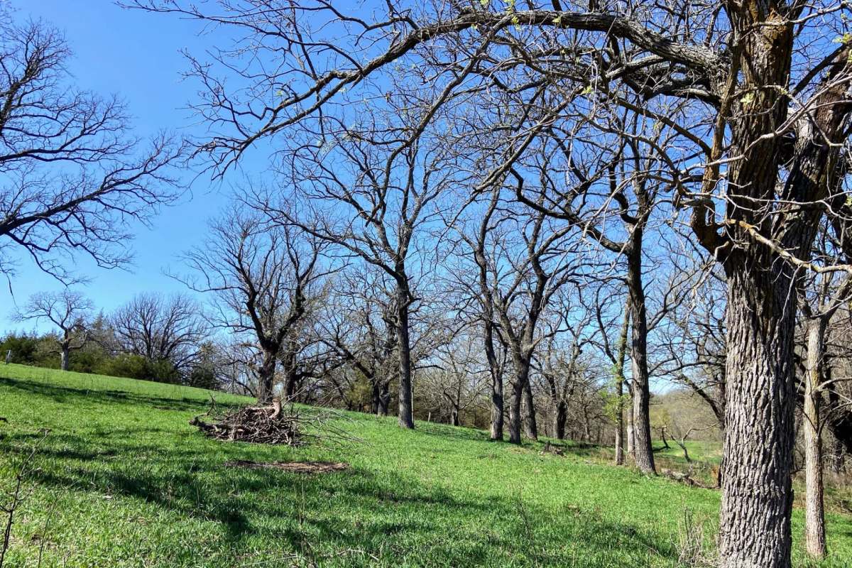 Experts were eventually able to pinpoint the culprit.