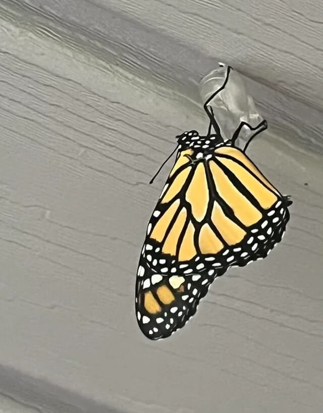 "This is incredible."