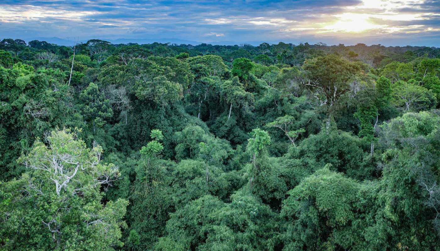 "That's how you change minds."