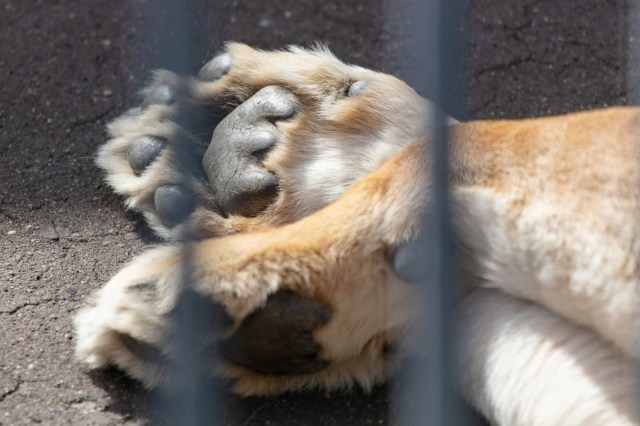 "We are building a regulatory foundation."