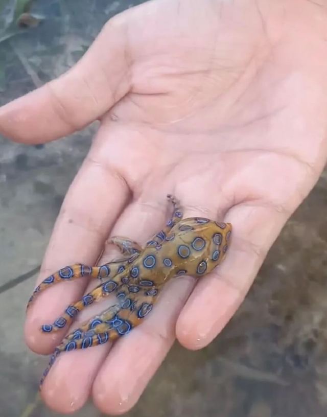 There is no known cure other than waiting out symptoms with treatment and hoping for the best.