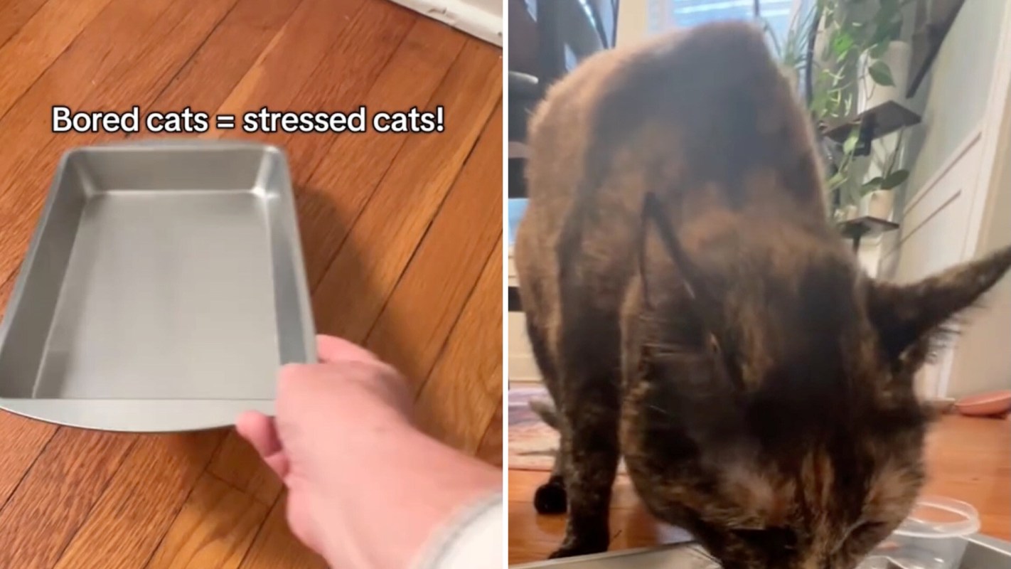 "I’m going to try this."