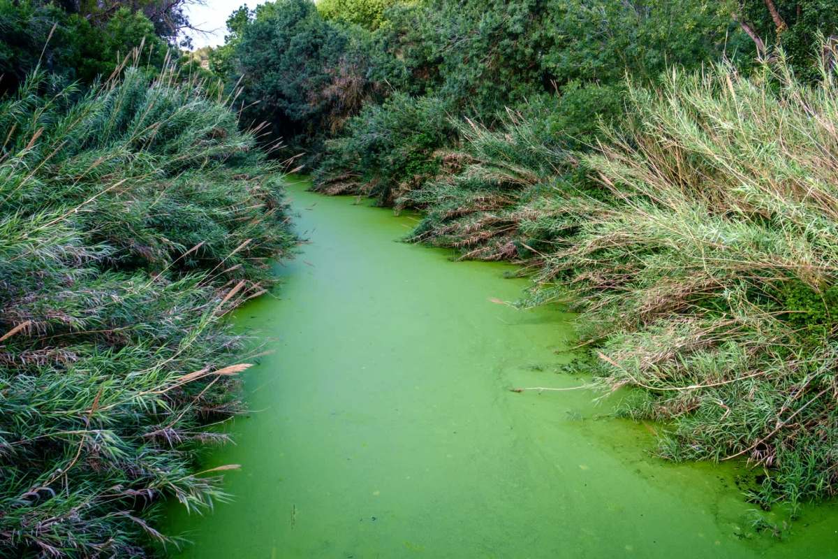 "Poses a serious threat."