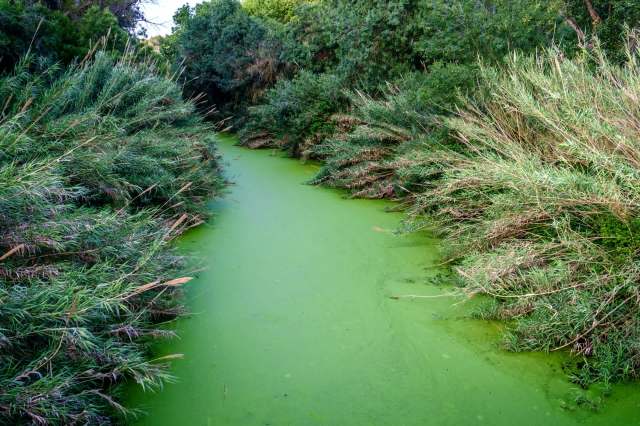 "Poses a serious threat."