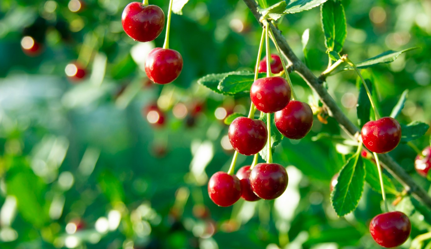 "I don't know what normal is anymore."