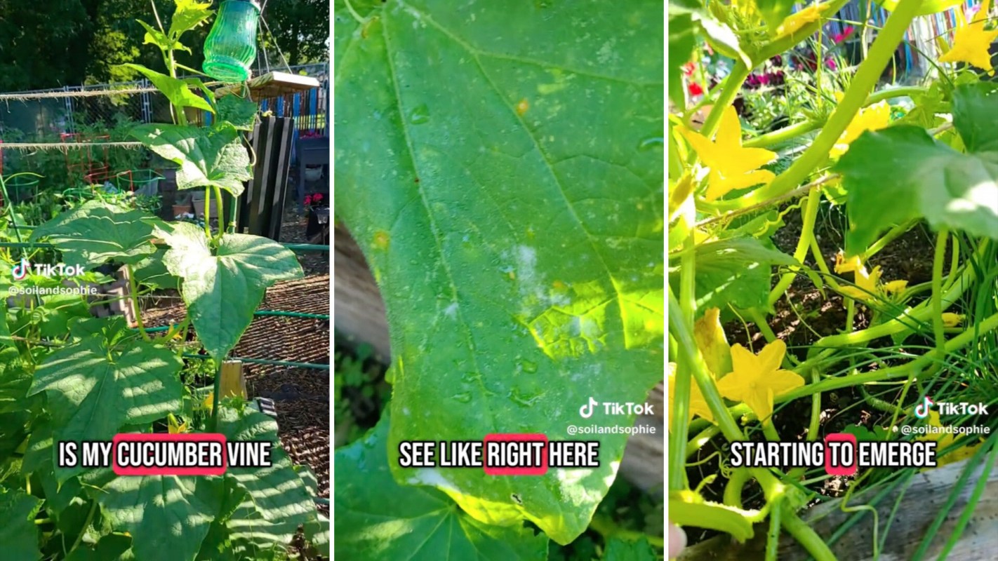 "Hey, thanks for the tip!"