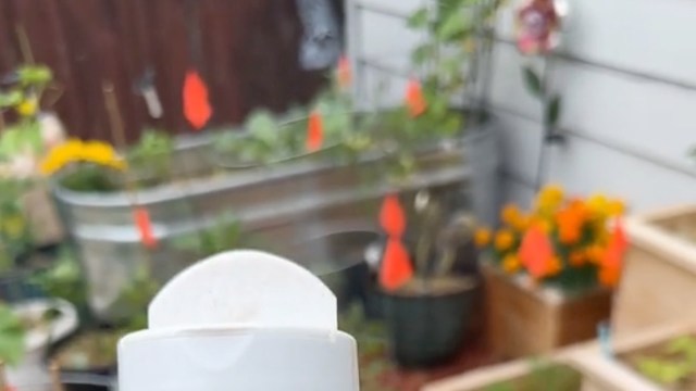 "Thanks for sharing."