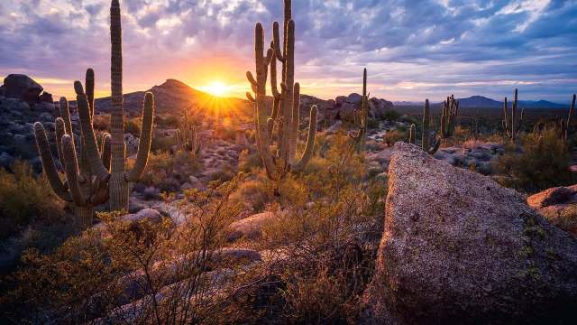 You may not notice the changes overnight.