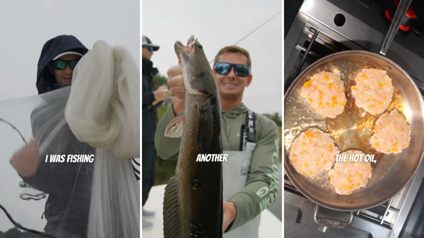 "It certainly doesn't look like trash to me."