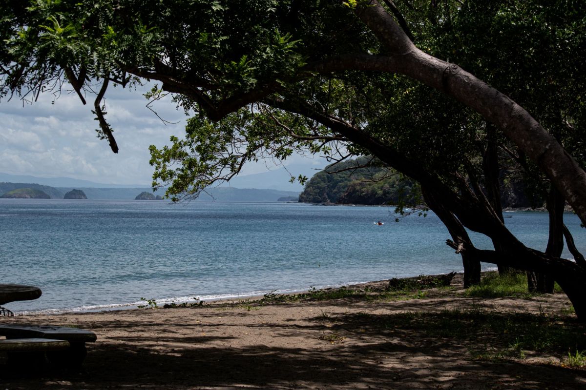 "Even with respect to armoring that may have been permitted, there are no vested rights to harm public trust resources."